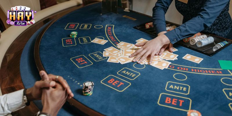 Kinh nghiệm tham gia chơi casino Haywin hữu ích
